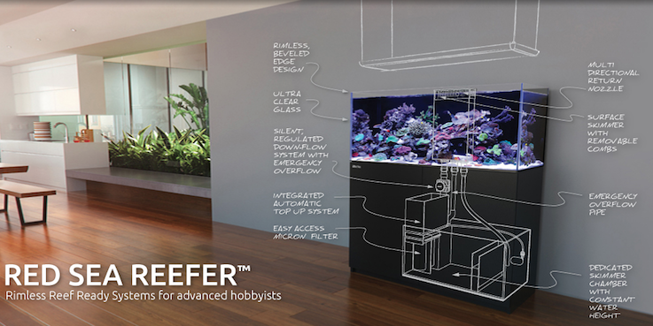 Red-Sea-REEFER-System