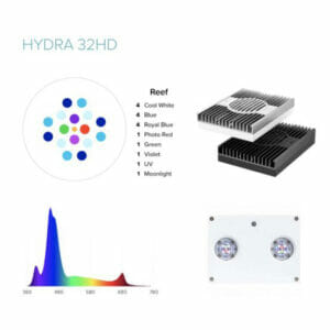 AI Hydra 32 HD LED Two Pack